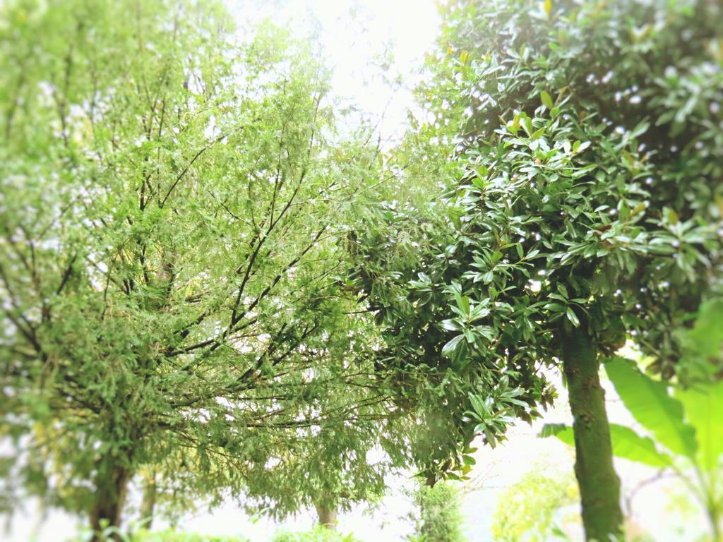 Cascina Nuova * Cremona